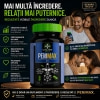 Capsule Pentru Mărire Penis Penimax Pro 60buc Thumb 2