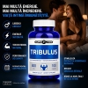 Capsule Potentă Tribulus 100buc Thumb 1