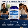 Capsule Potentă Tribulus 100buc Thumb 2