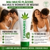 Lubrifiant Cobeco Magic 125ml Thumb 2
