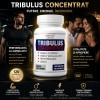 Natmed Pharma Tribulus Ultra Concentrated 120 capsules Thumb 1