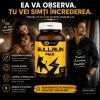 Pastile BullRun Max Ero 60 capsule Thumb 2