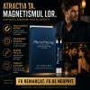PheroStrong Pheromone Limited Edition for Men 1ml Thumb 1